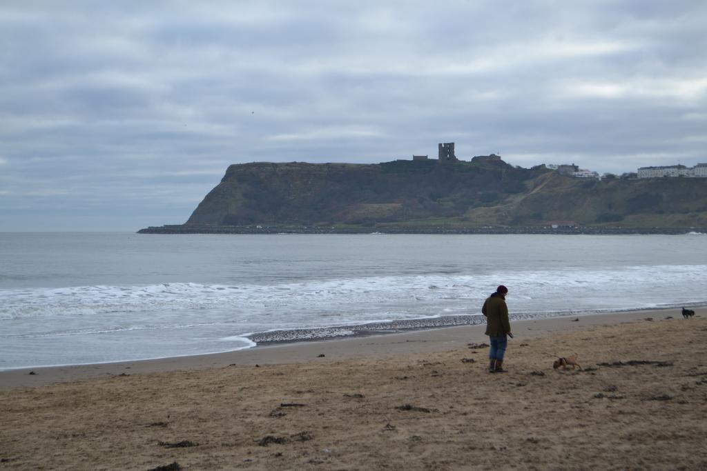 The Beaches Scarborough Exteriér fotografie