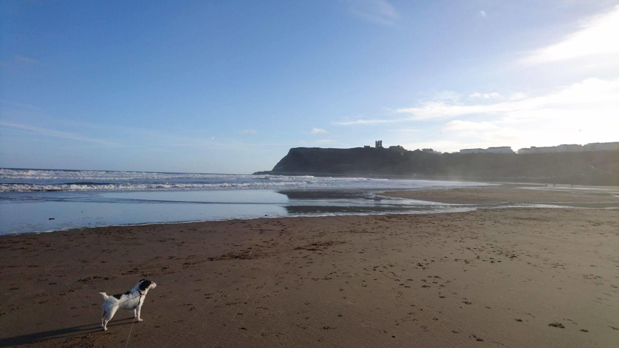 The Beaches Scarborough Exteriér fotografie